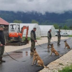 Norveška NPA donirala nove deminerske pse za Oružane snage BiH