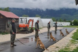 Norveška NPA donirala nove deminerske pse za Oružane snage BiH