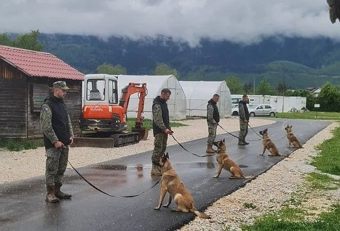 Norveška NPA donirala nove deminerske pse za Oružane snage BiH