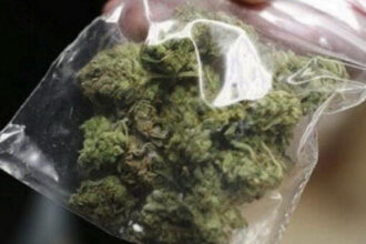 Pronađeni cannabis, speed i digitalna vaga, dvije osobe pod istragom