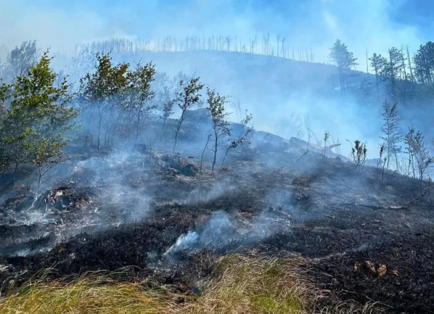 Vatrena stihija ne posustaje: Vatrogasci ulažu maksimum da obuzdaju požare oko Mostara