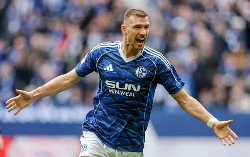 Edin Džeko ostaje u Schalkeu