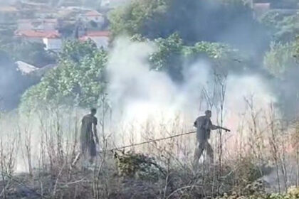 Vatra kod Trebinja umalo došla do kuća, mještani i vatrogasci jedva ugasili požar