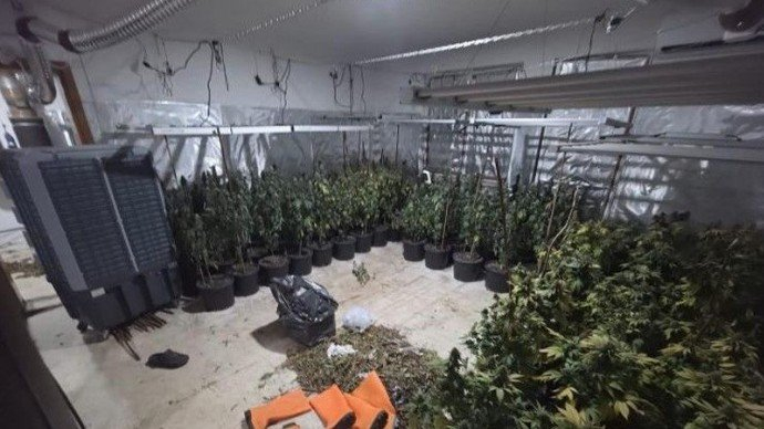 Akcija “Šibica”: Policija u Sarajevu pronašla još tri laboratorije za uzgoj i proizvodnju marihuane