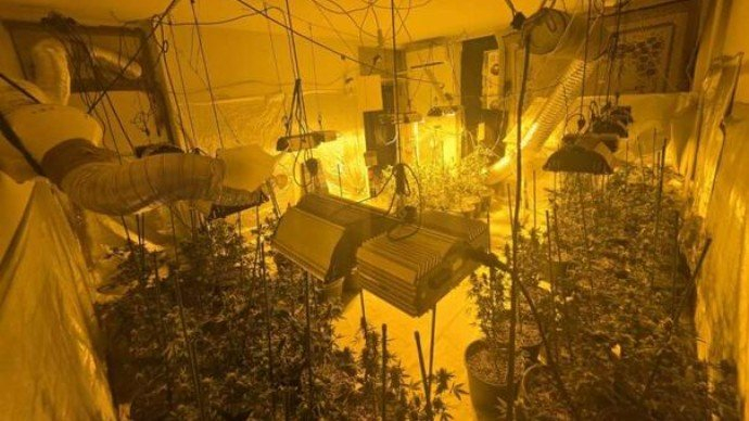 Policija u Sarajevu pronašla laboratorije za uzgoj marihuane