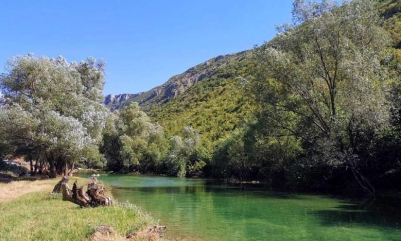 Nastavak aktivnosti na zaštiti prirode u vezi s HE Ulog i projektom Gornji horizonti
