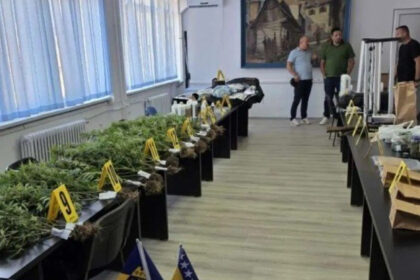 MUP BPK proveo opsežnu akciju: U Goraždu otkrivena labaratorija za uzgoj marihuane, uhapšen Sarajlija