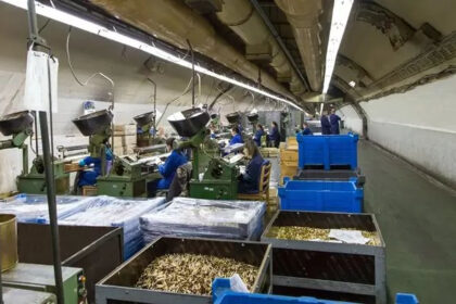 Na prodaju paket dionica konjičkog Igmana vrijedan 4,68 miliona KM