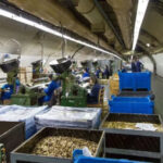 Gubimo li šansu i korak s konkurencijom: Nakon metalne, ruše i namjensku industriju