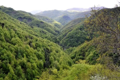 Dan odluke za hercegovačke šume: Ministri danas mogu okončati 16-godišnju anarhiju