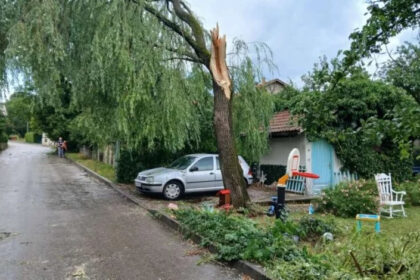 Olujno nevrijeme pogodilo Tomislavgrad: Vjetar rušio stabla, oštećene kuće i vozila