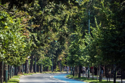 Toplotni val i nastavak polenske sezone: Budite oprezni zbog povećane koncentracije alergena