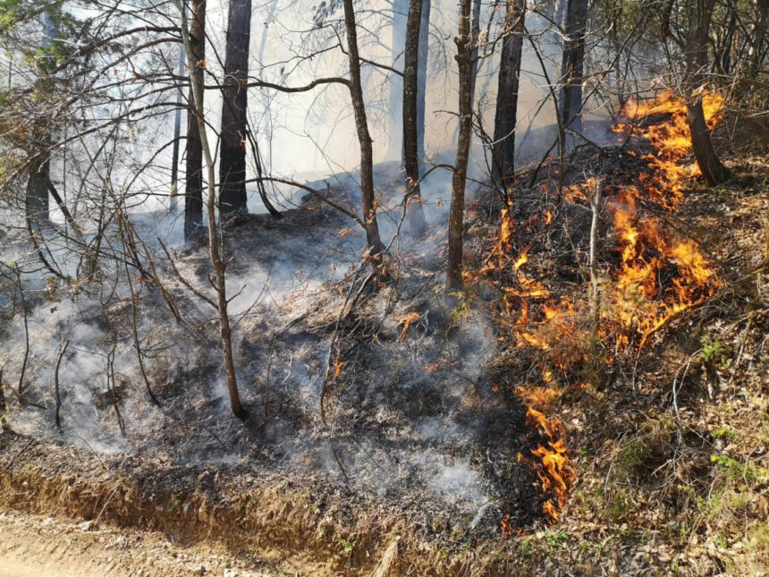 SDA: Požari ponovo haraju, vlast novac od air traktora potrošila na kupovinu parlamentarne većine