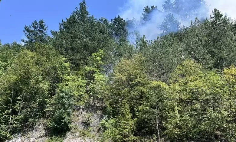 Sarajevski vatrogasci upućeni u Konjic kao ispomoć u gašenju požara