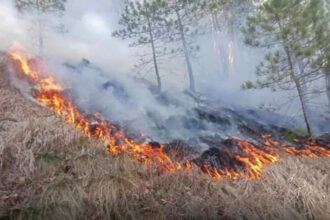Aktivni požari kod Neuma i Konjica, vatrogasci u HNK imaju pune ruke posla