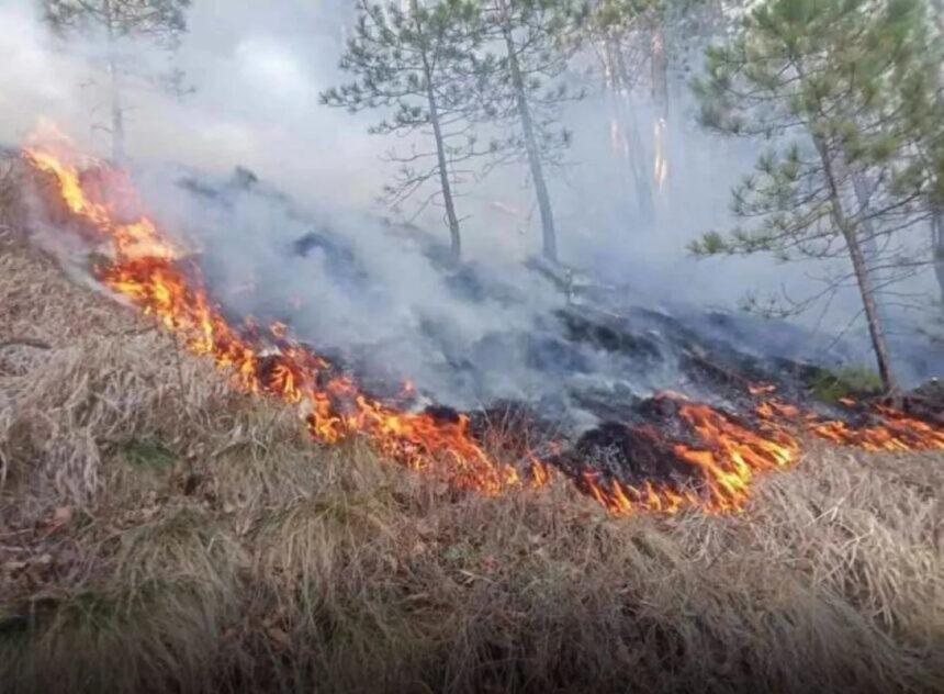 Aktivni požari kod Neuma i Konjica, vatrogasci u HNK imaju pune ruke posla
