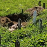 Nesvakidašnji prizor: Medvjed iskopao mezar kod Travnika