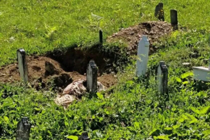 Nesvakidašnji prizor: Medvjed iskopao mezar kod Travnika