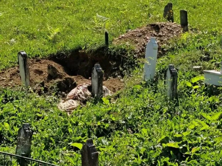 Nesvakidašnji prizor: Medvjed iskopao mezar kod Travnika