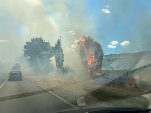 POŽARI HARAJU Priroda više ne čeka političare: Milijarde za rat, mrvice za zaštitu života