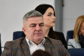 Šaljić o Nešiću: Pritisni ga - pišti, pusti ga - zviždi