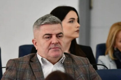 Šaljić o Nešiću: Pritisni ga - pišti, pusti ga - zviždi