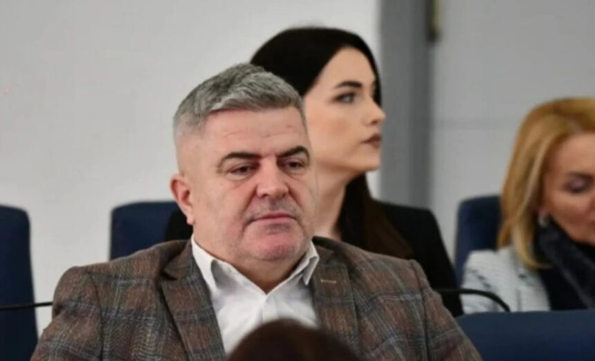 Šaljić o Nešiću: Pritisni ga - pišti, pusti ga - zviždi