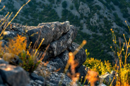 Foto: Boris Trogrančić