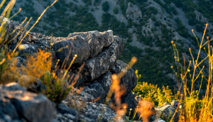 Foto: Boris Trogrančić