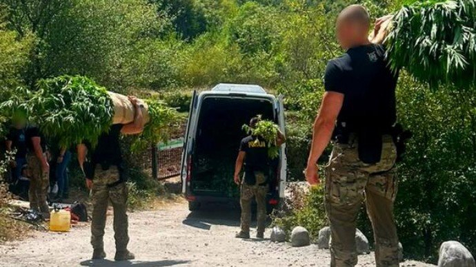 FUP objavio detalje o plantažama kanabisa u Drežnici, osumnjičene dvije osobe