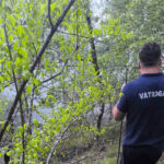 ALARMANTNO Eksperti upozoravaju na skrivene posljedice: Požari su uvertira za klizišta