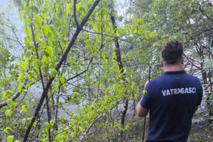 ALARMANTNO Eksperti upozoravaju na skrivene posljedice: Požari su uvertira za klizišta