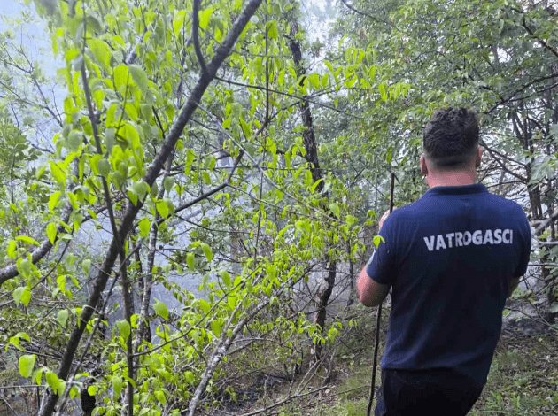 ALARMANTNO Eksperti upozoravaju na skrivene posljedice: Požari su uvertira za klizišta