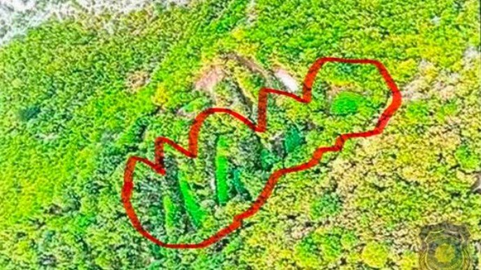 Velika akcija u Hercegovini: FUP krenuo na plantaže marihuane