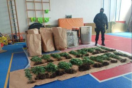 Policija otkrila plantažu sa 206 stabljika indijske konoplje i kokain, uhapšena jedna osoba (FOTO)