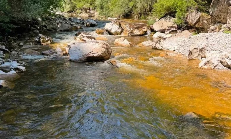 Otkriće naučnika iz Austrije: Neretva u gornjem toku promijenila boju, traži se nezavisna istraga