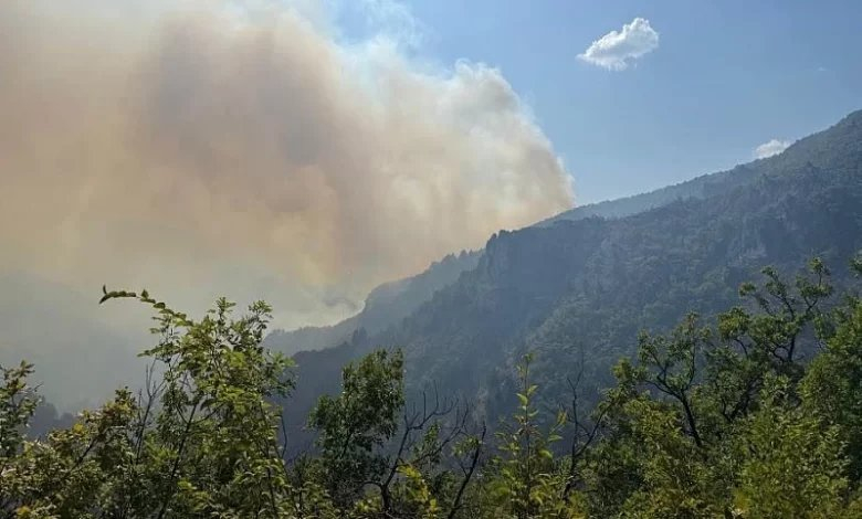PARADOKS NA JUGU BiH Turizam u HNK bilježi ogroman rast uprkos stotinama požara u jeku sezone