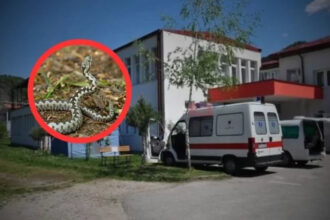 Drama u Jablaničkoj Bijeloj: Poskok ugrizao mladića, do bolnice išao motorom