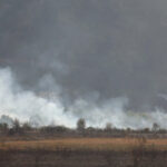 Foto: Patria