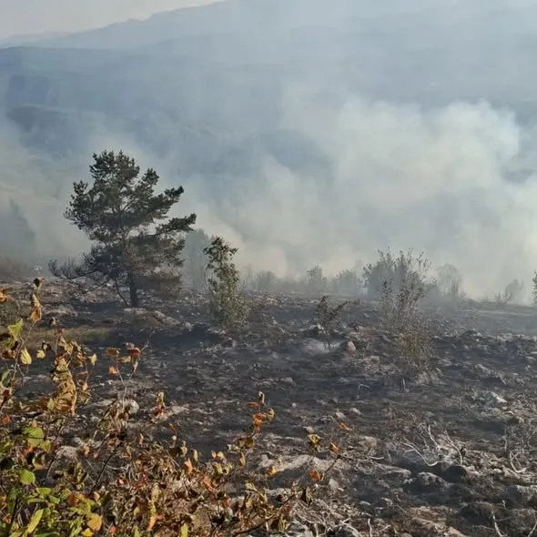 Od novca za zaštitu od požara do mostarske dvorane: Nikšiću, šta danas imate za građane?