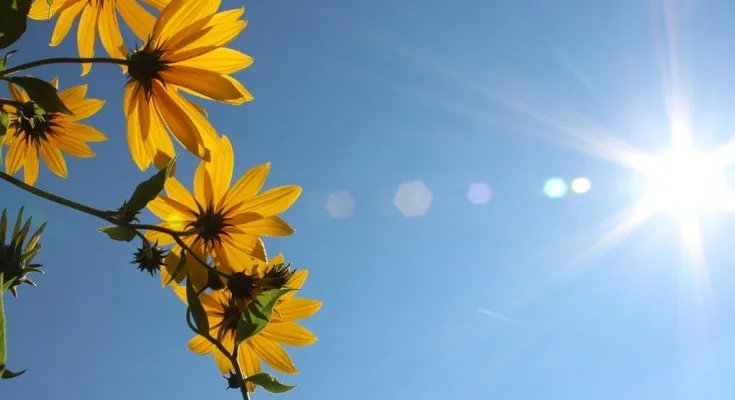 Još jedan vreli dan pred nama: Živa na termometru ide do 37°C