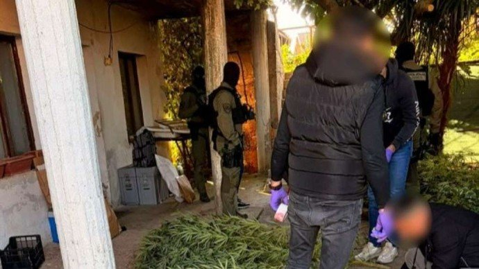 FUP: U Čapljini pronađena plantaža kanabisa, uhapšene dvije osobe