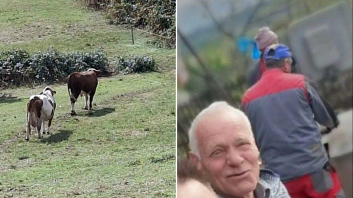 Agresivni bik usmrtio vlasnika, farmer Ibrahim Škahić podlegao teškim povredama pred kućom