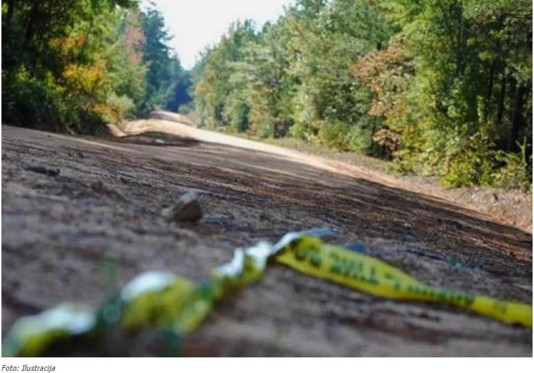 Tragedija kod Zvornika: Muškarac smrtno stradao prilikom sječe šume