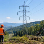 Zvornik: Tokom septembra i oktobra planirana obnova šumskog prosjeka na području grada Zvornik